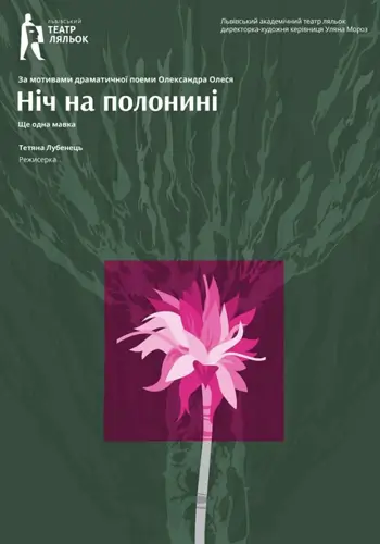 Ночь на полонине