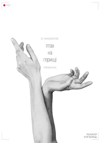 ПТАХ НА ГОРИЩІ