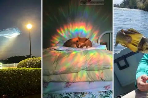 «Не фотошоп»: користувачі Мережі показали 35 кадрів, у які важко повірити