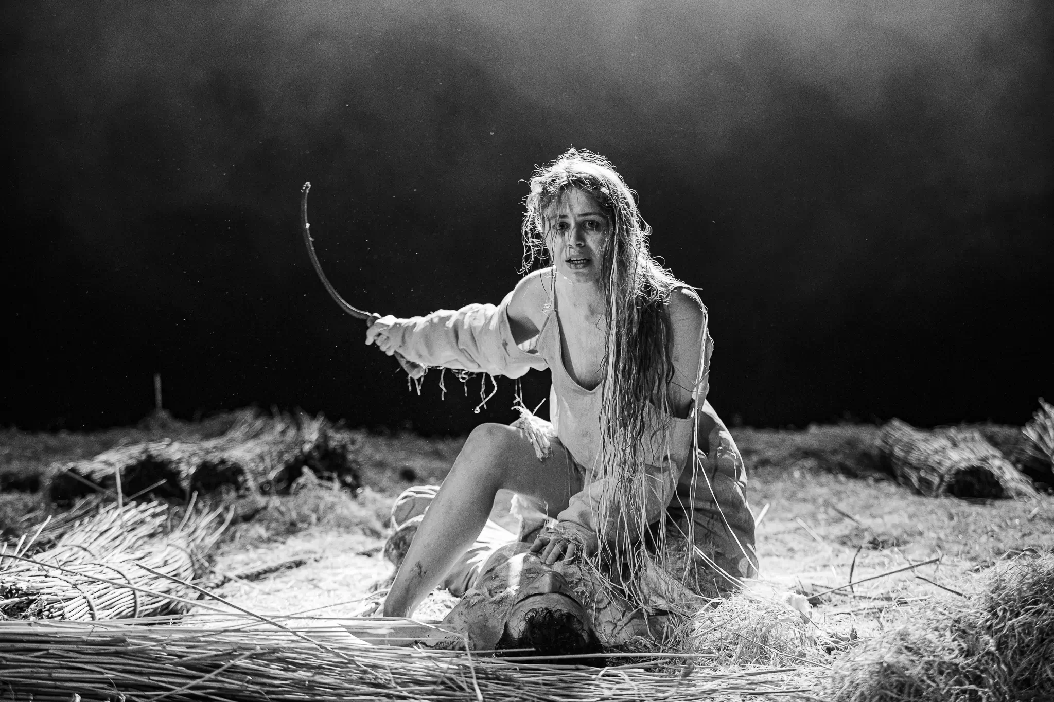 Земля Львов