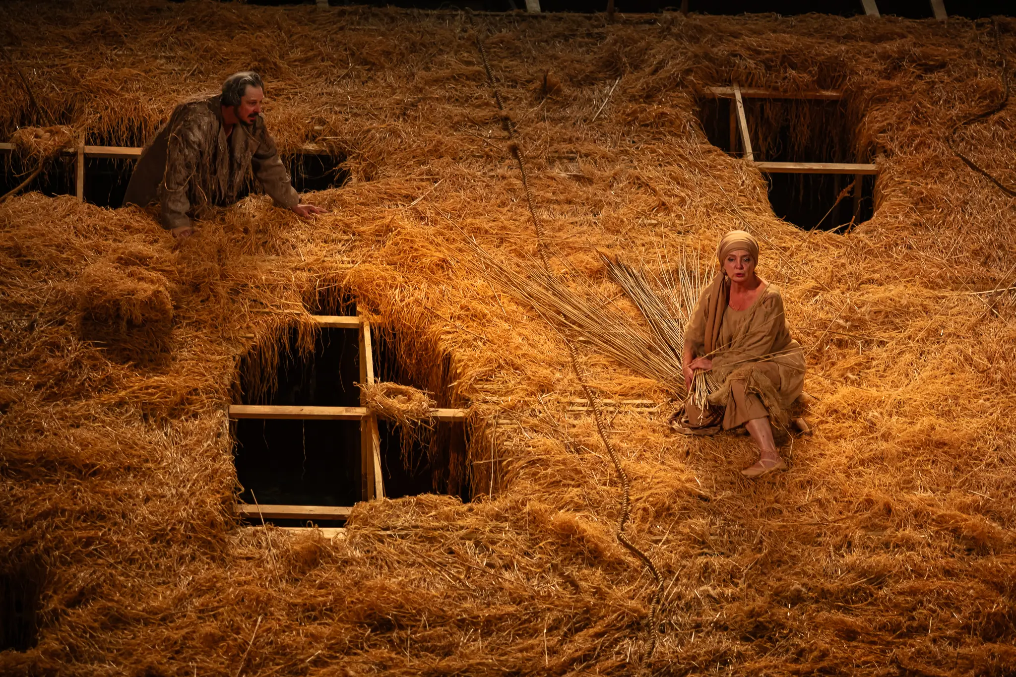 Земля Львов