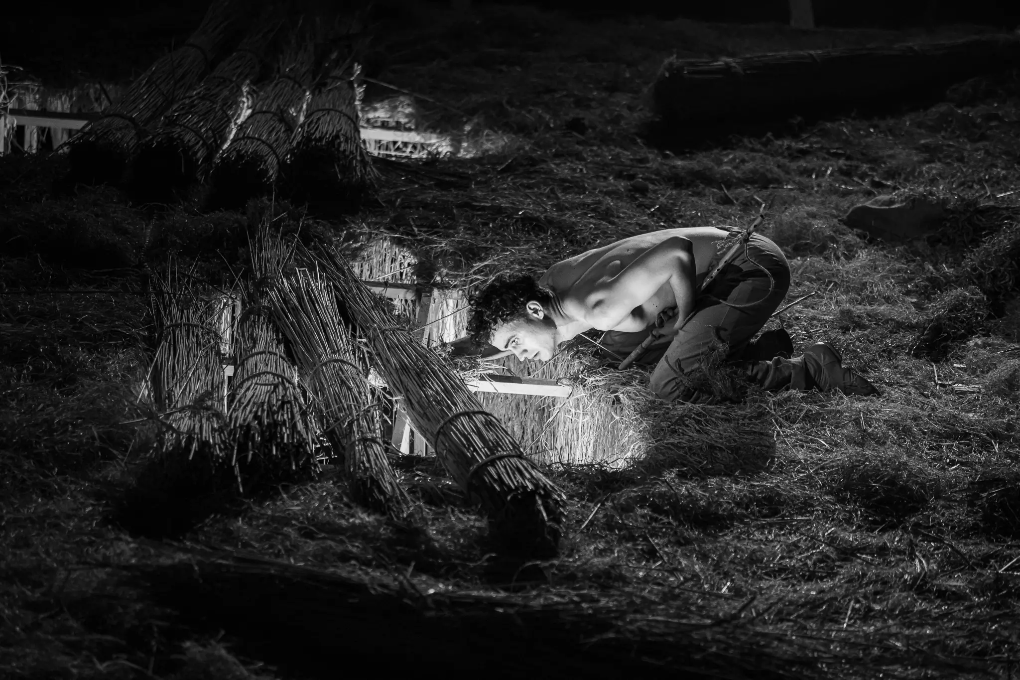 Земля Львов