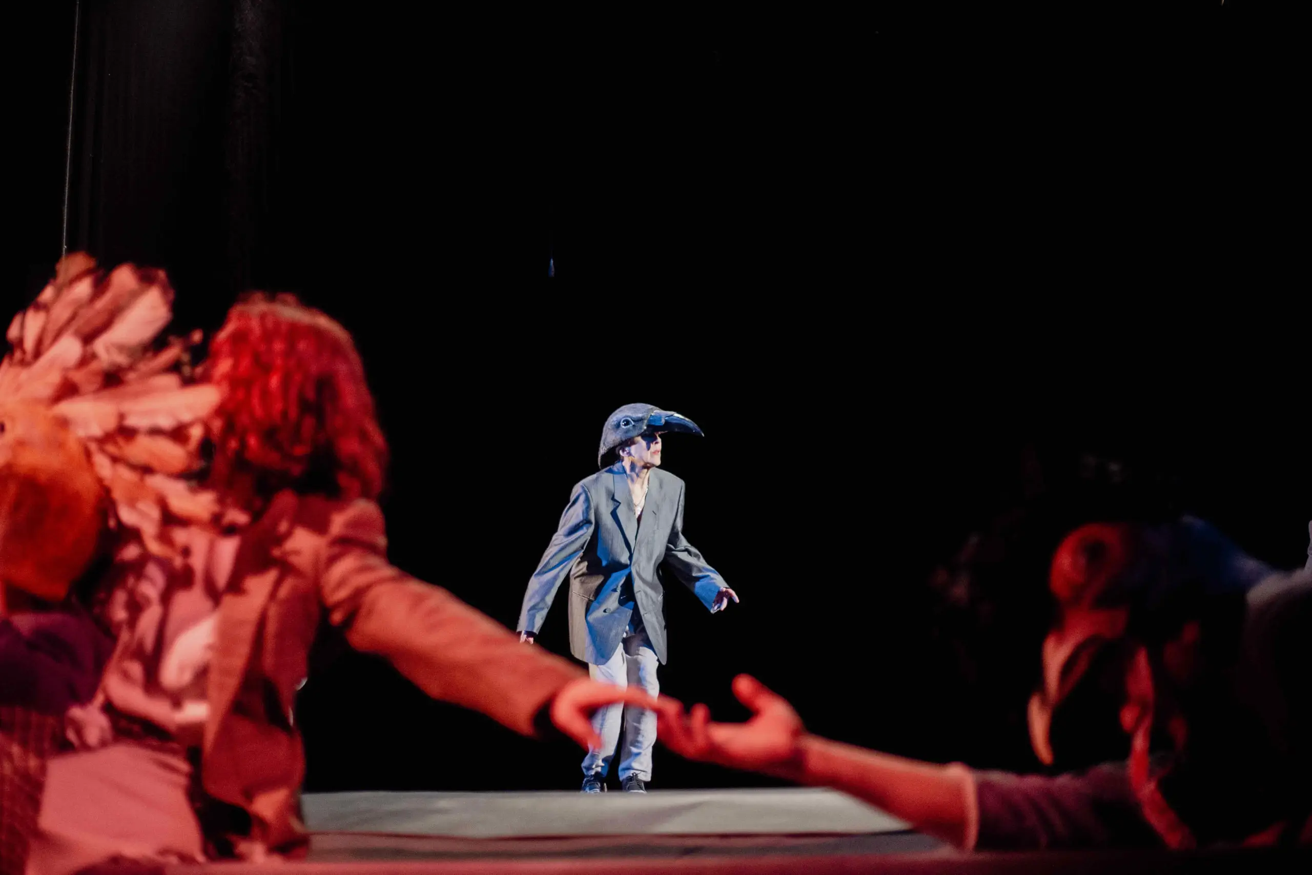 Птицы Львов