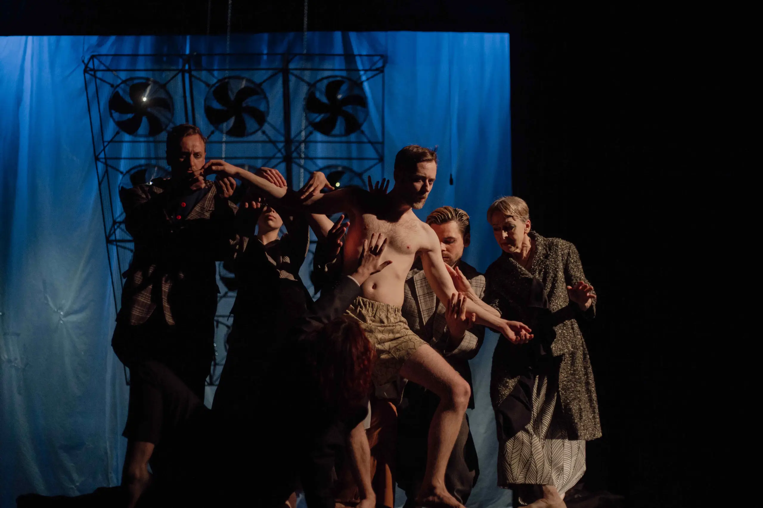 Птицы Львов