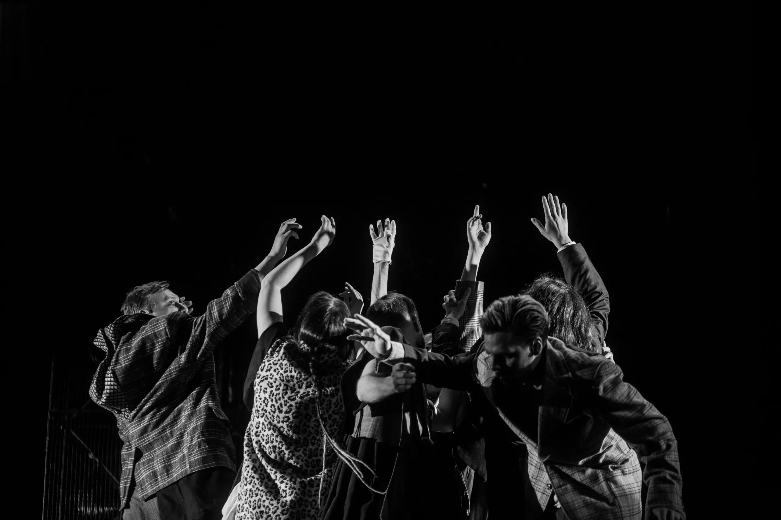 Птицы Львов