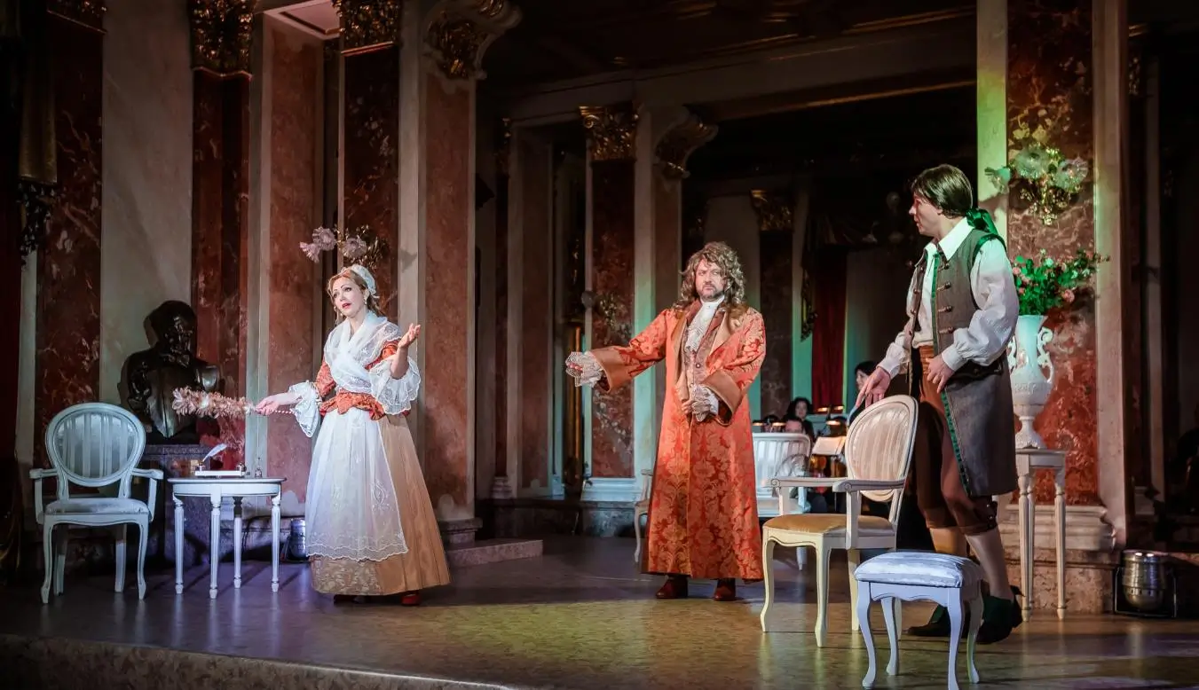 Служанка-дама Львов