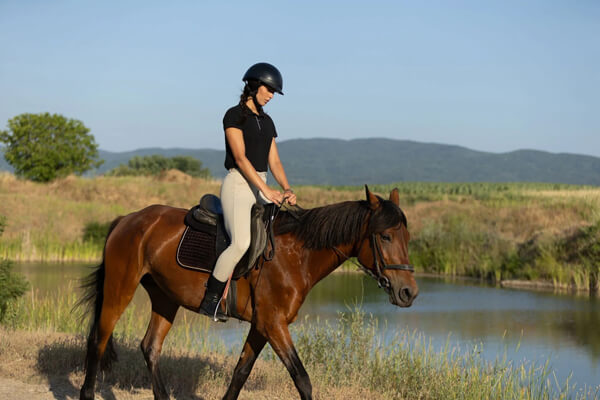 одяг для прогулянки верхи