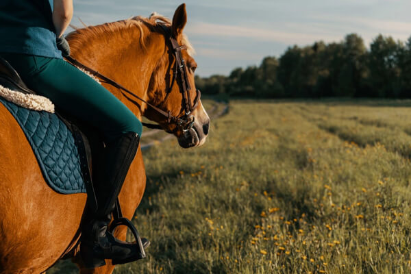 одяг для прогулянки верхи