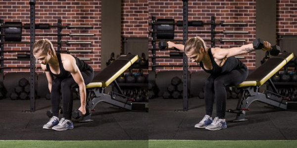 Вправи на плечі: розведення гантелей у нахилі сидячи