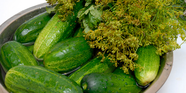 Малосольні огірки в каструлі