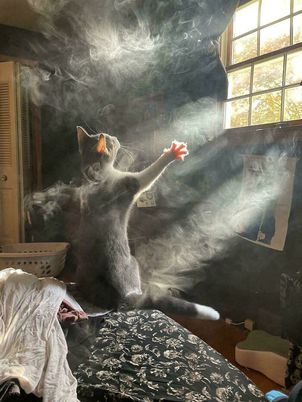 Заклик демона