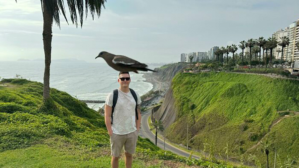 птах випадково потрапив у кадр