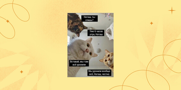 Старый мем «Наташа, мы всё уронили»