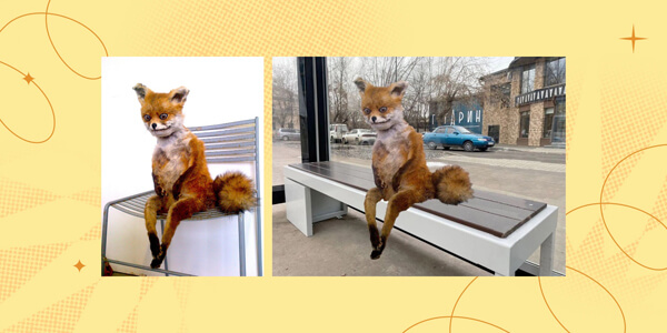 Мем с упоротым лисом