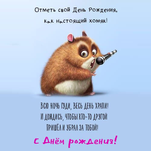 Прикольные поздравления с днем рождения картинка
