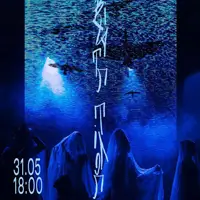 ПОЛЕТ ПТАХОВ Львов