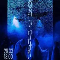 ПОЛЕТ ПТАХОВ Львов